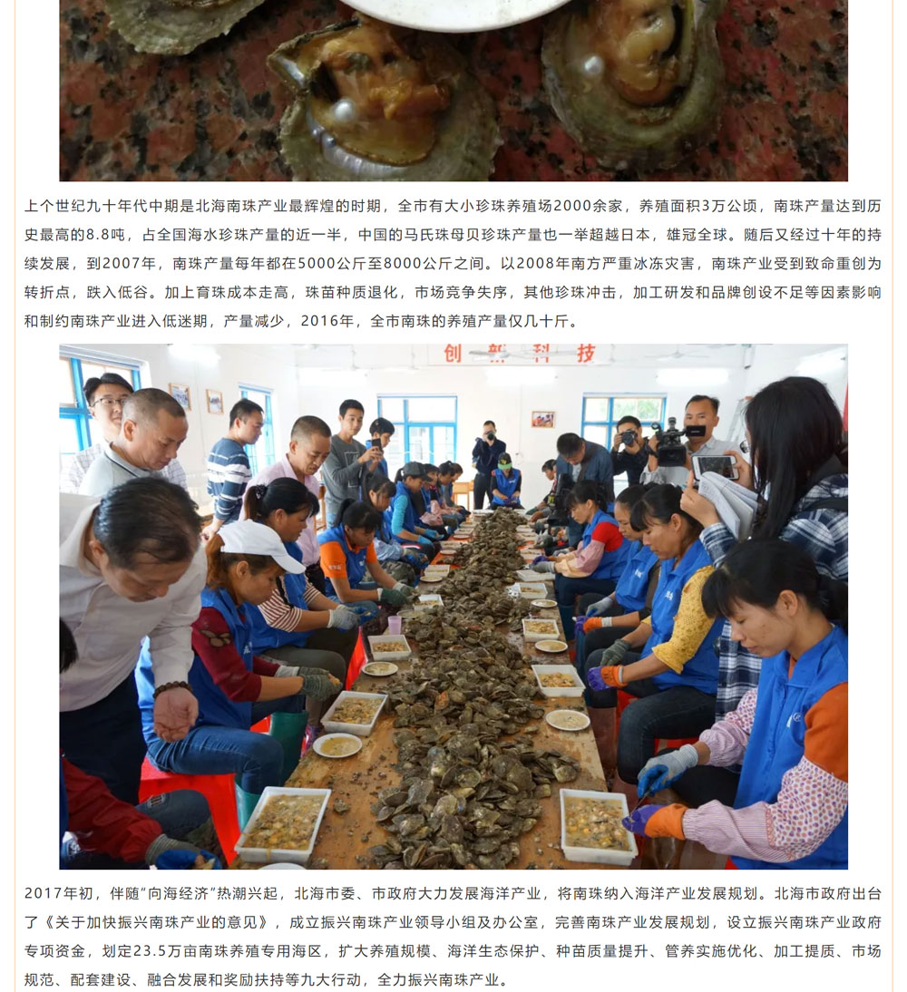 古老南珠，綻放異彩