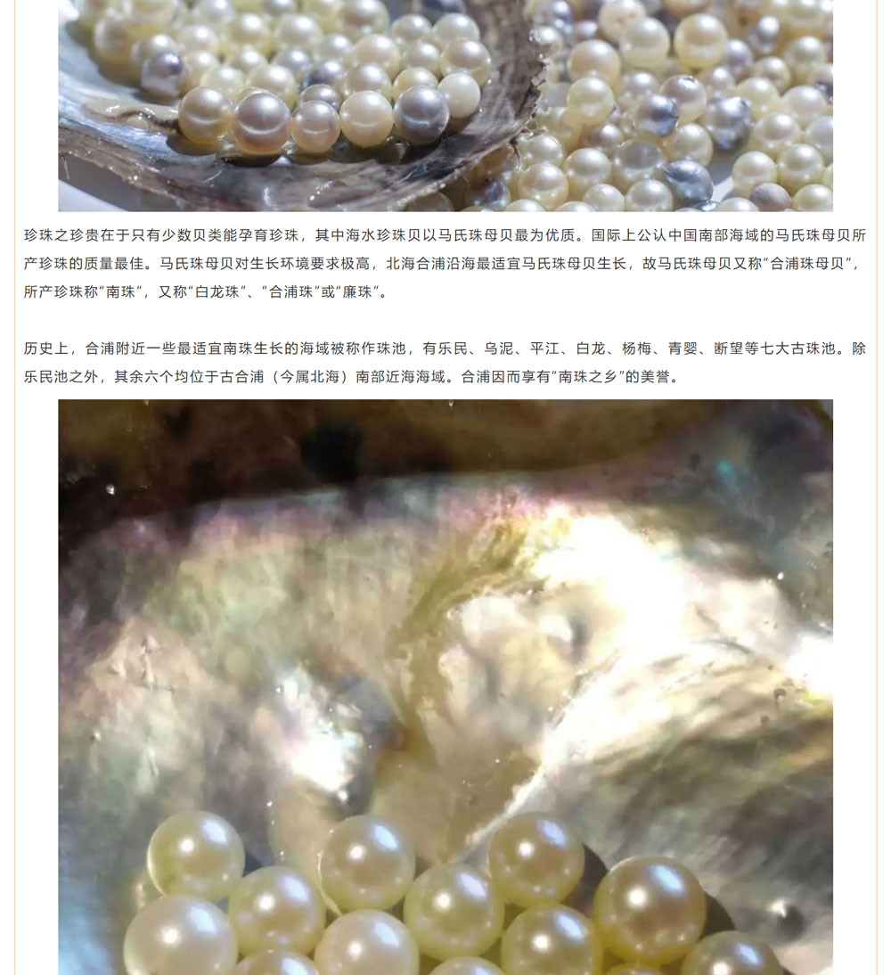 古老南珠，綻放異彩
